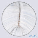 OSIAS COSPLAY - Honkai Star Rail Jingliu Cosplay Wig