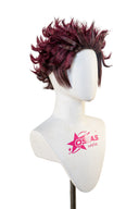 Demon Slayer Kamado Tanjirou Cosplay Wig