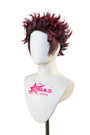 Demon Slayer Kamado Tanjirou Cosplay Wig