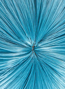 OSIAS COSPLAY - Puella Magi Madoka Magica Miki Sayaka Cosplay Wig Short Blue