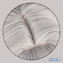 OSIAS COSPLAY - Honkai Star Rail Silver Wolf Cosplay Wig